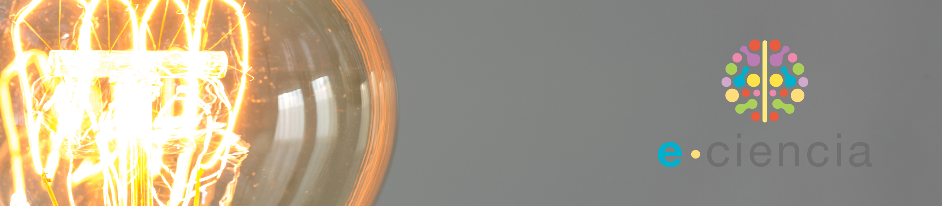 bulb-eciencia.jpg